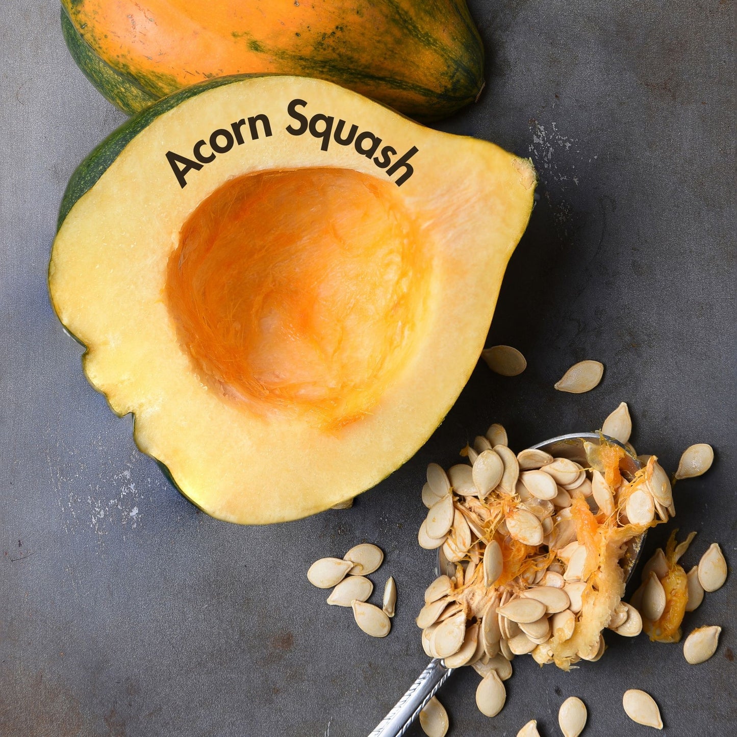 Acorn Squash Seeds (10 Total) - Seeds - Kristine Celestine