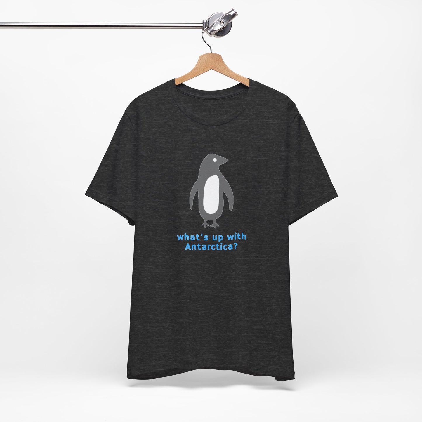 What's Up with Antarctica? T-Shirt