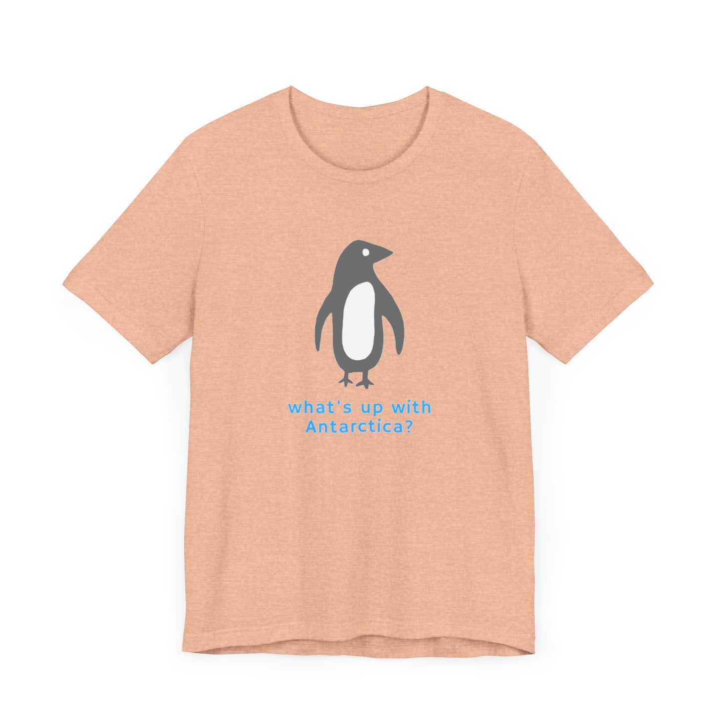 What's Up with Antarctica? T-Shirt