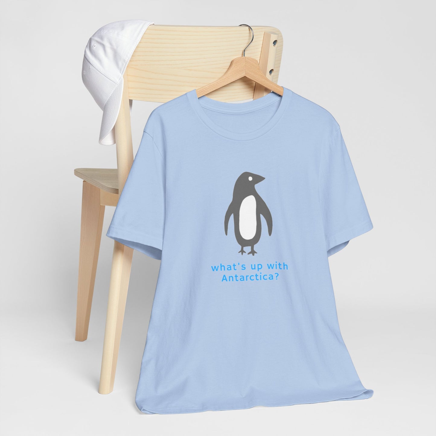 What's Up with Antarctica? T-Shirt