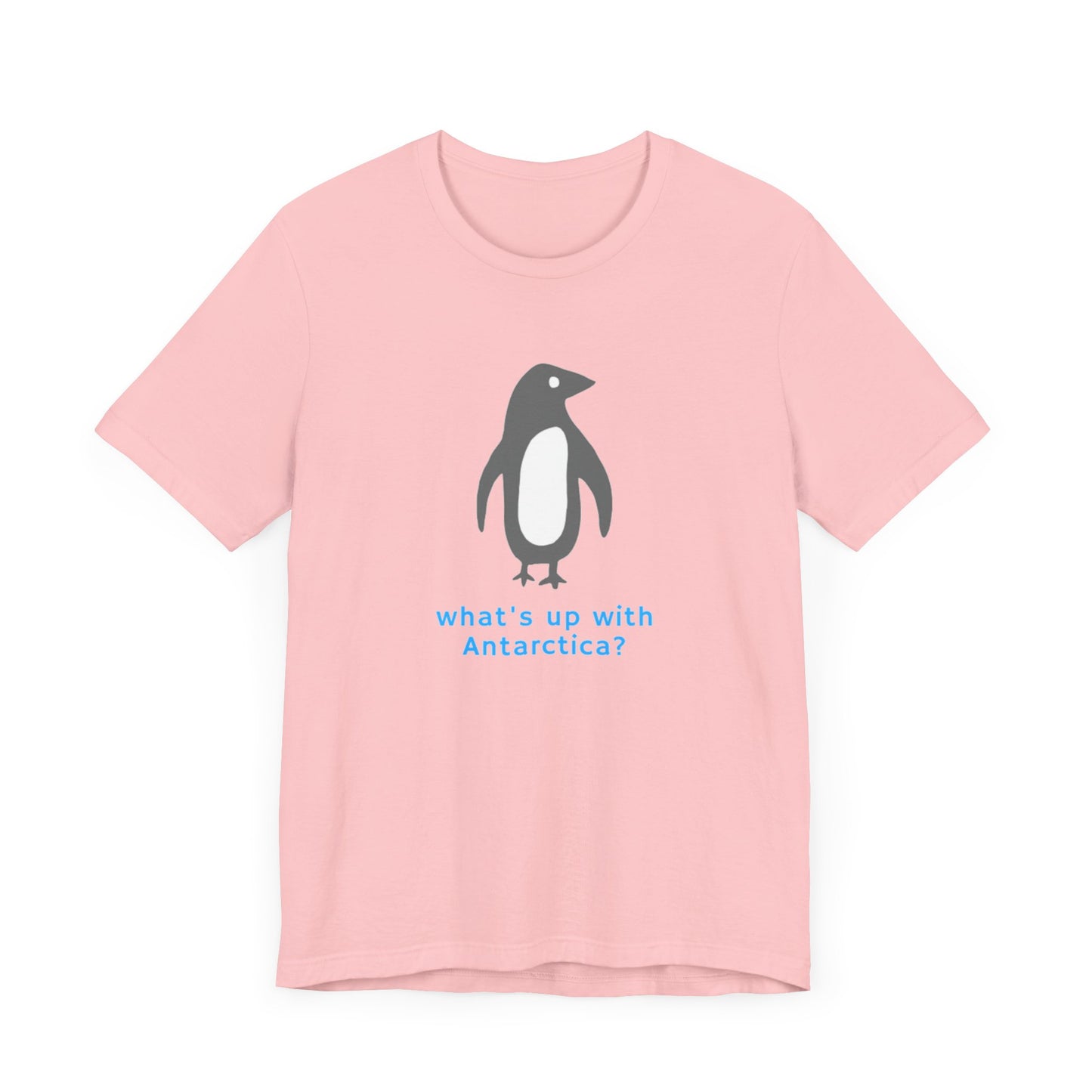 What's Up with Antarctica? T-Shirt