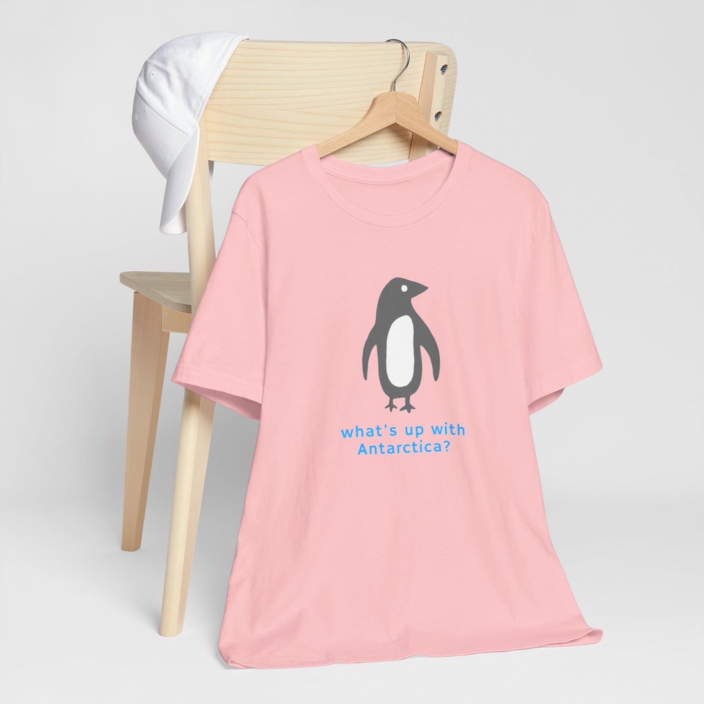 What's Up with Antarctica? T-Shirt