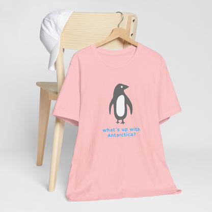 What's Up with Antarctica? T-Shirt