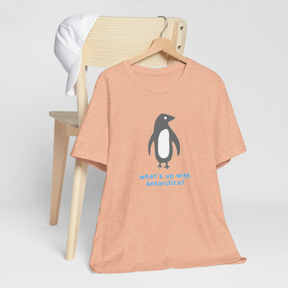 What's Up with Antarctica? T-Shirt