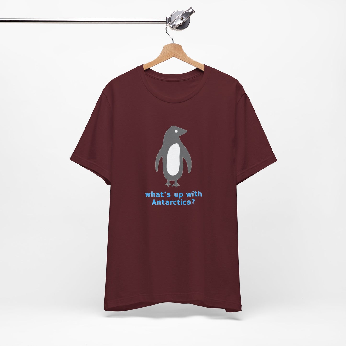 What's Up with Antarctica? T-Shirt