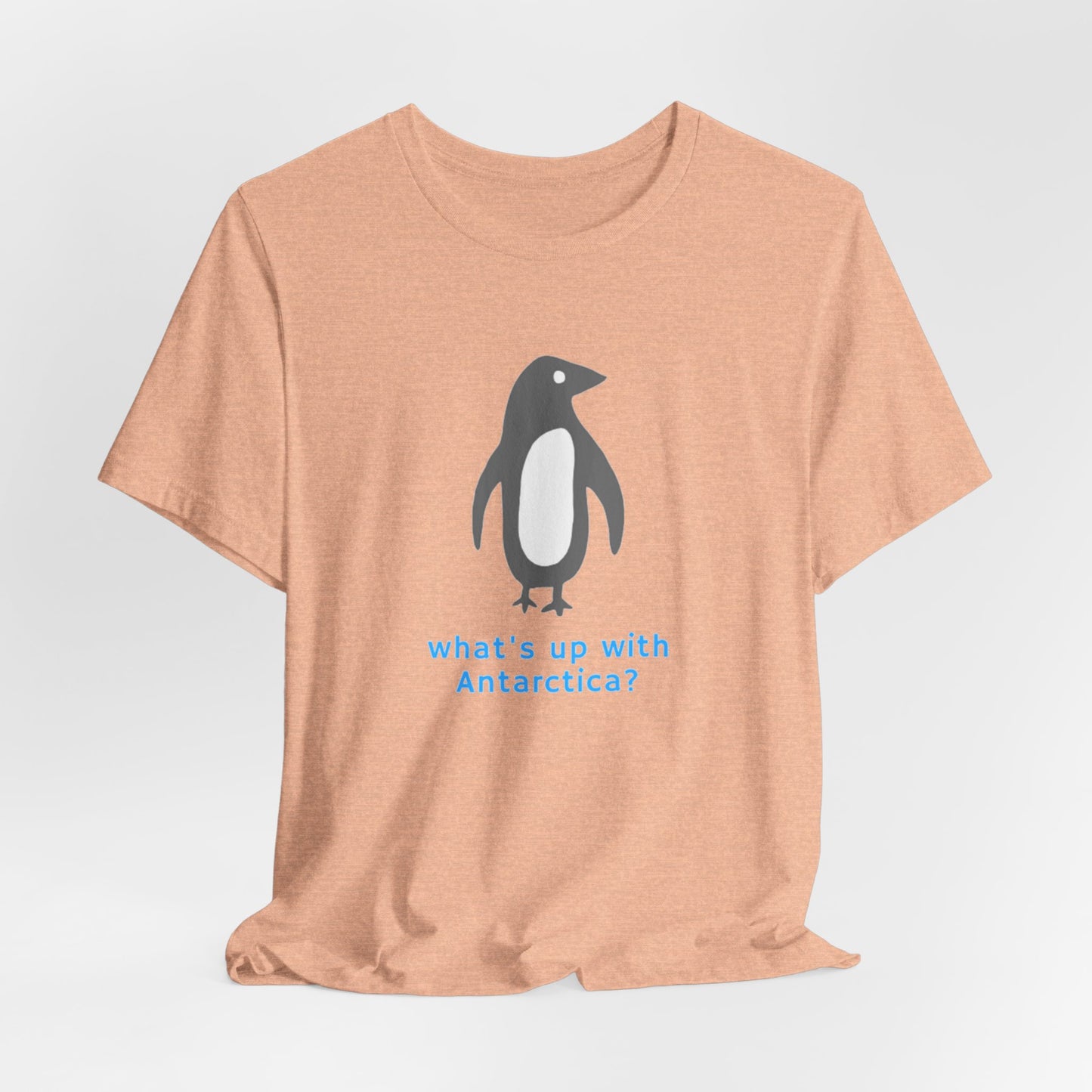 What's Up with Antarctica? T-Shirt