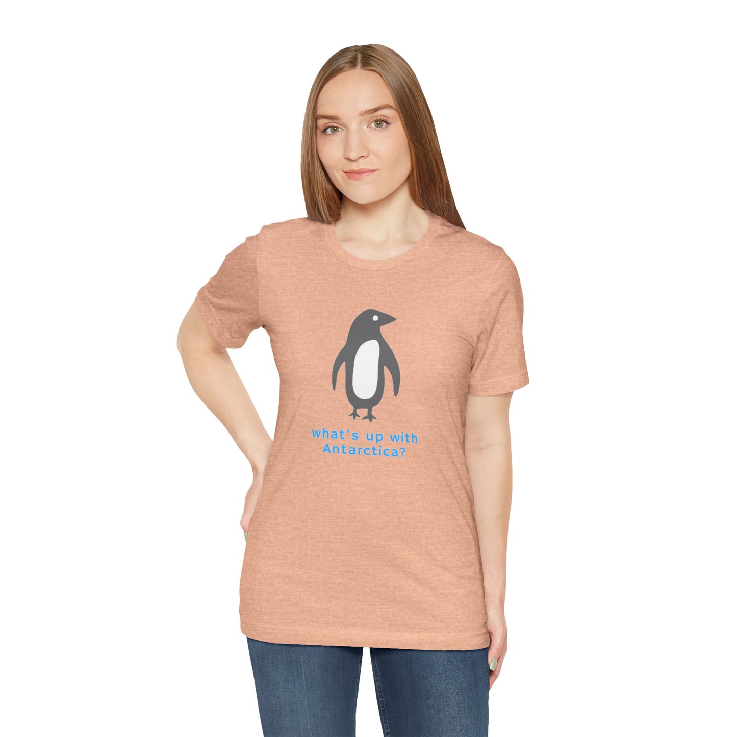 What's Up with Antarctica? T-Shirt