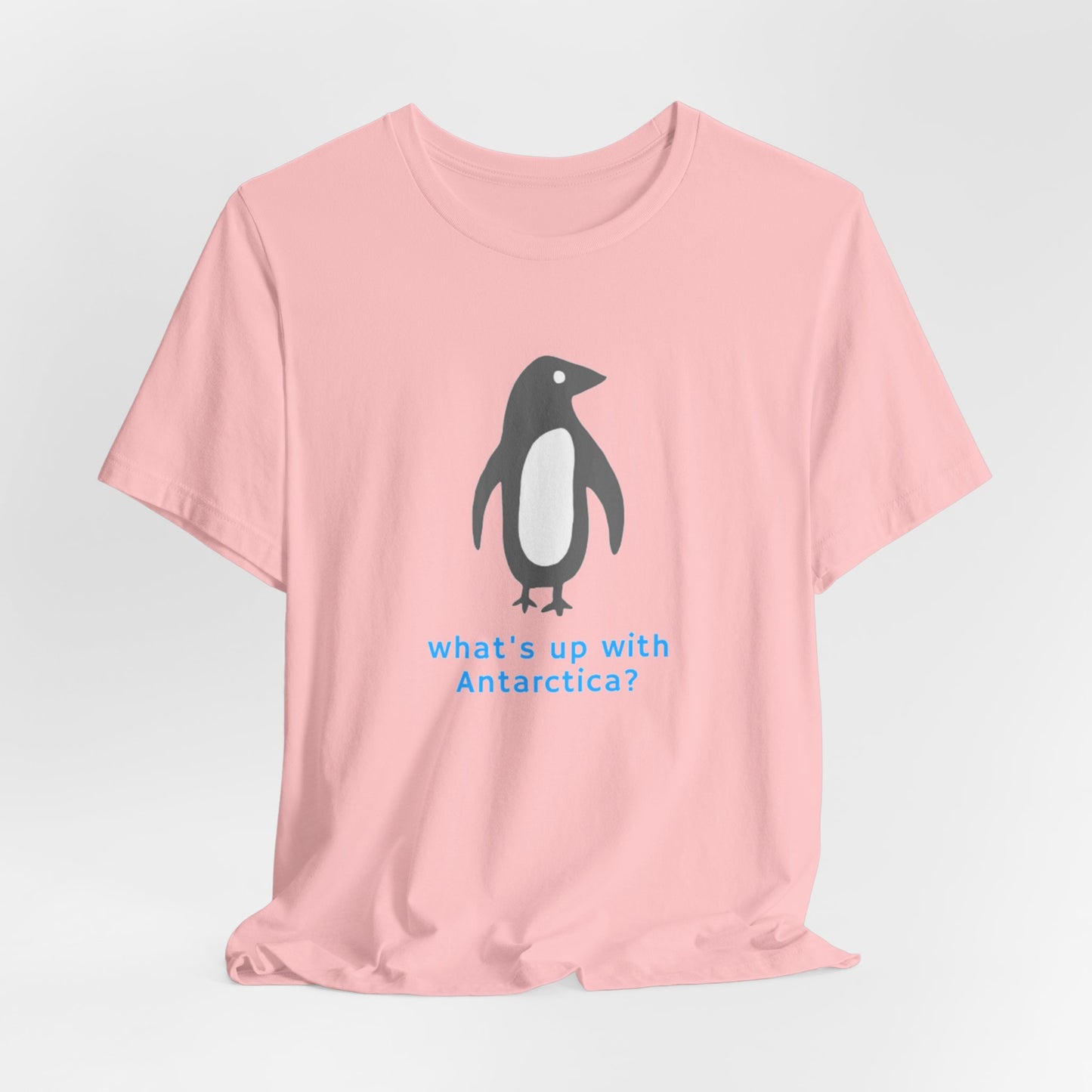 What's Up with Antarctica? T-Shirt