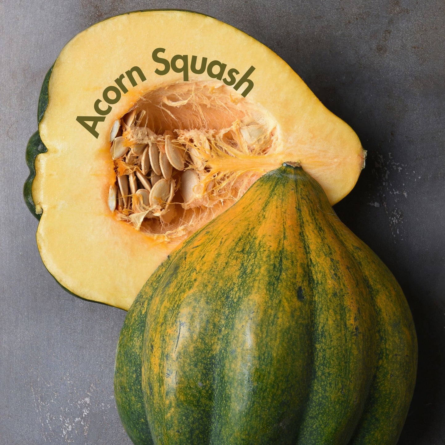 Acorn Squash Seeds (10 Total) - Seeds - Kristine Celestine