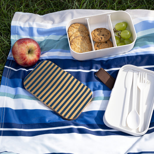 Navy Blue Stripes Bento Lunch Box Cute Food Container Summer Lunchbox Spring Food Storage Container