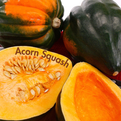 Acorn Squash Seeds (10 Total) - Seeds - Kristine Celestine