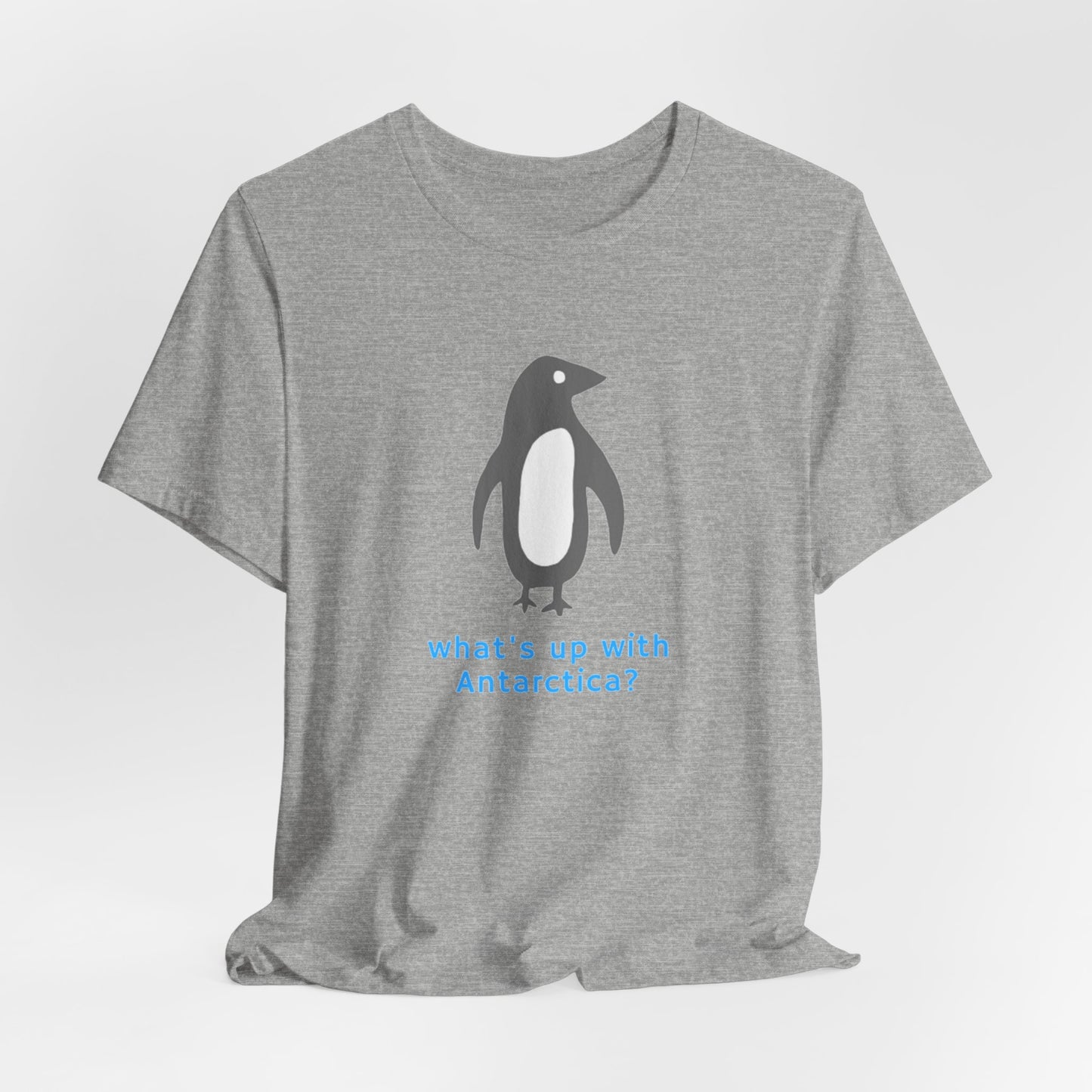 What's Up with Antarctica? T-Shirt