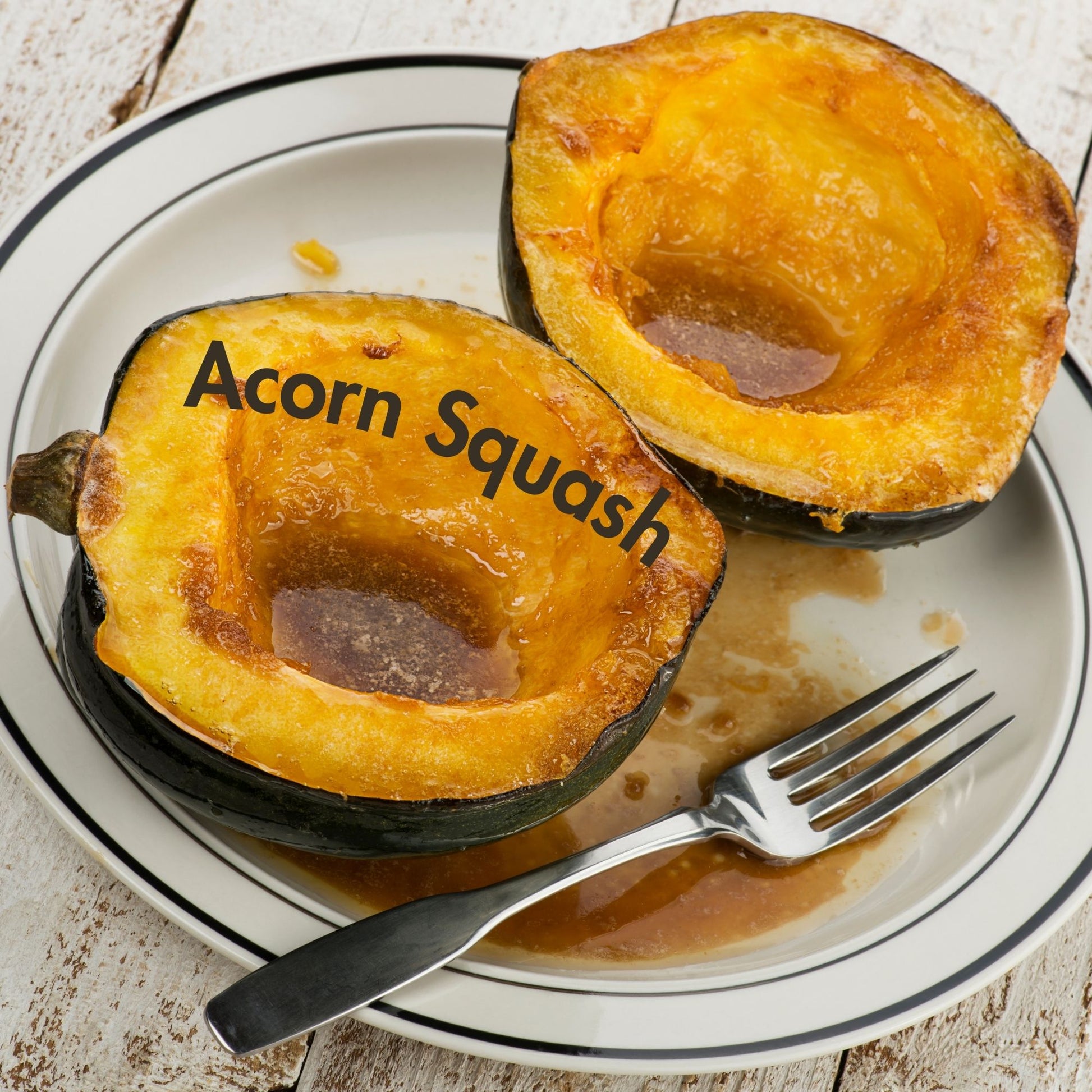 Acorn Squash Seeds (10 Total) - Seeds - Kristine Celestine