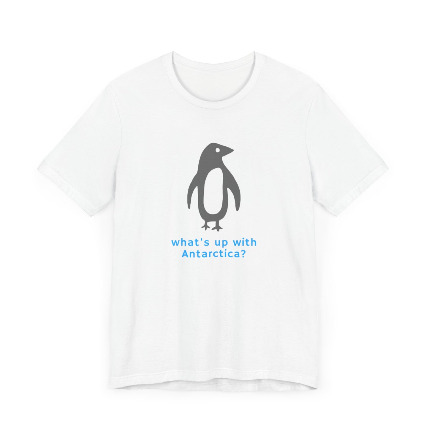 What's Up with Antarctica? T-Shirt