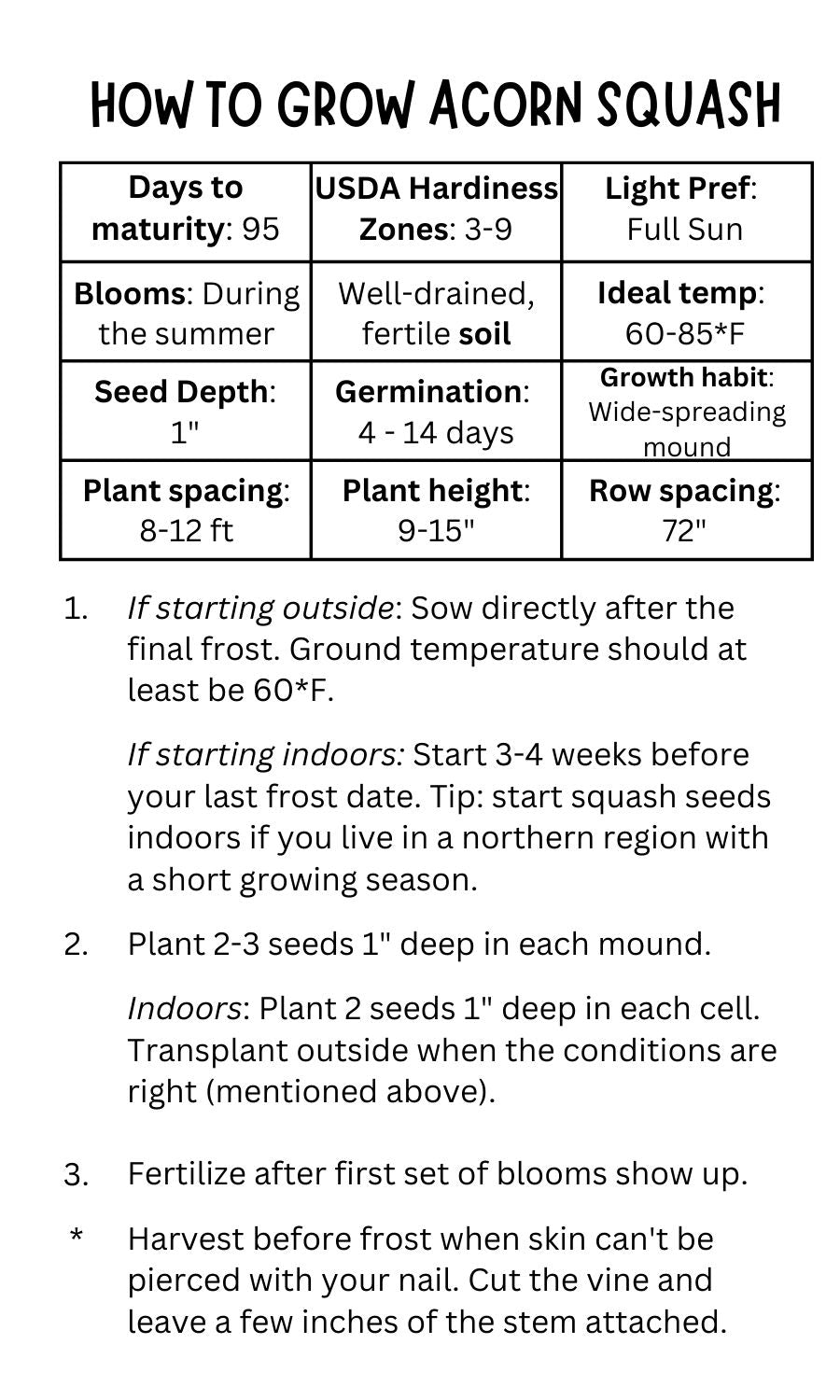 Acorn Squash Seeds (10 Total) - Seeds - Kristine Celestine