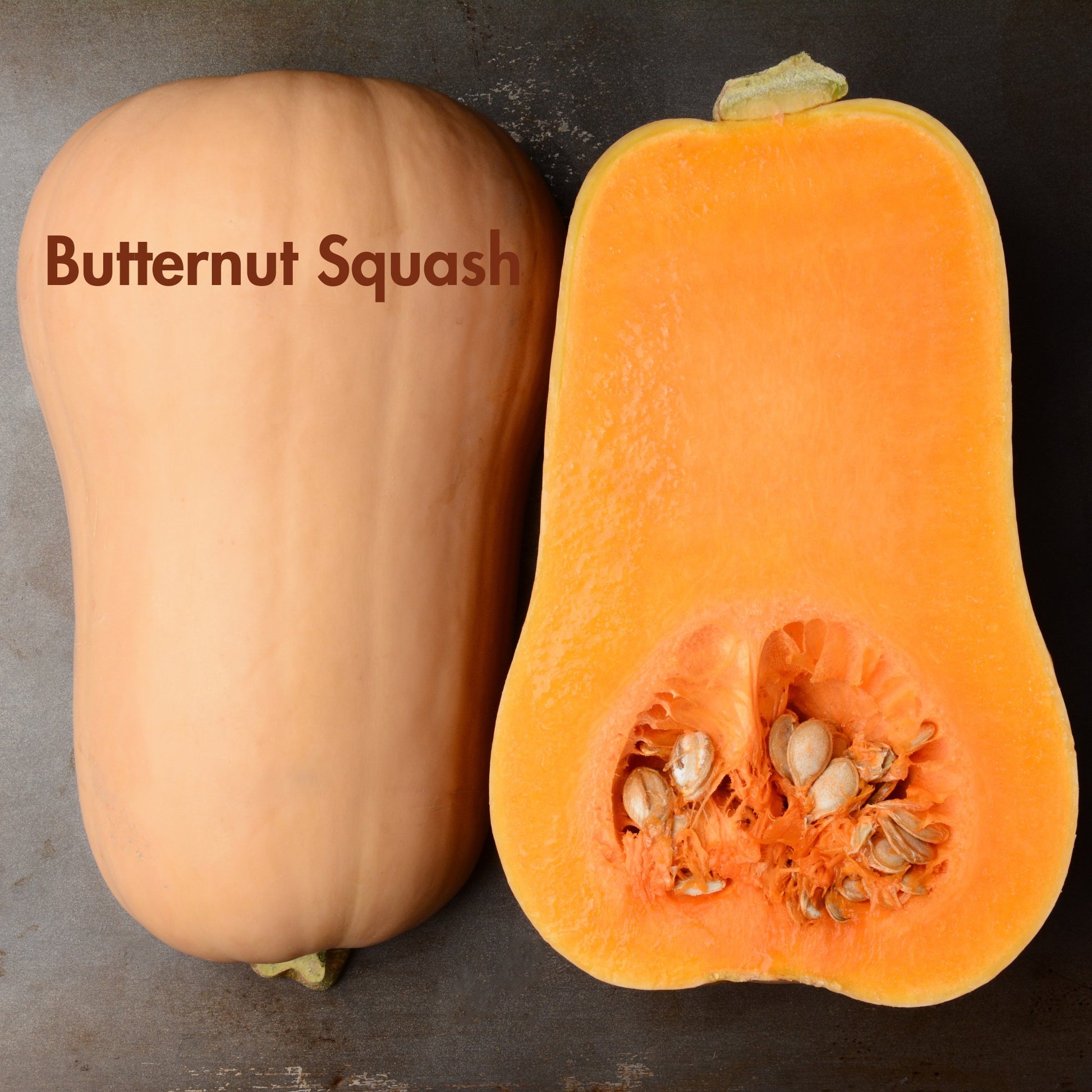 Butternut Squash Seeds (10 Total) - Seeds - Kristine Celestine