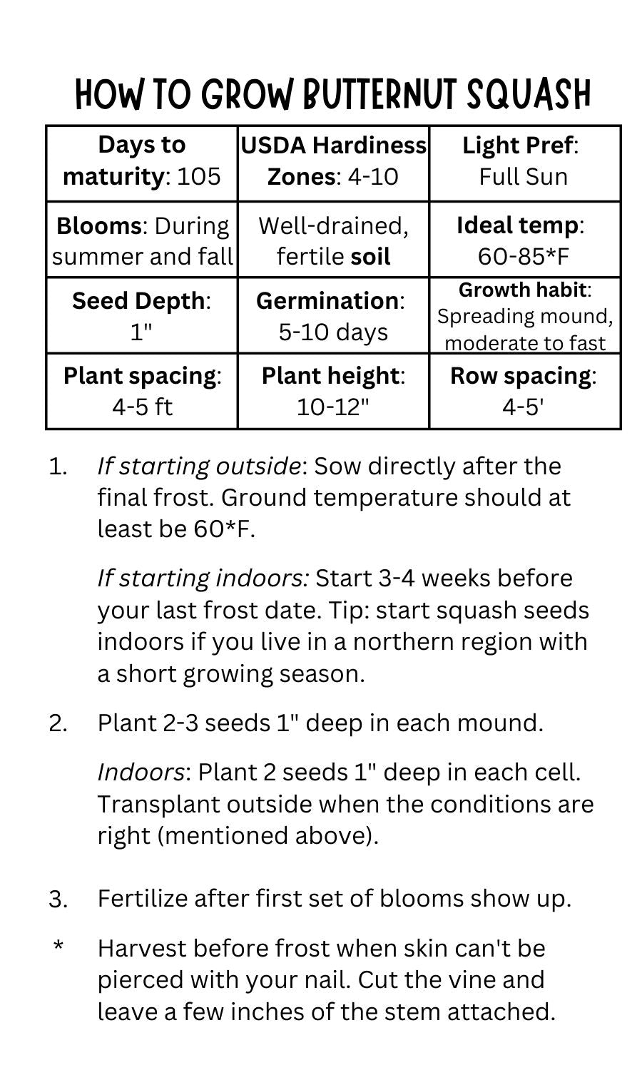 Butternut Squash Seeds (10 Total) - Seeds - Kristine Celestine