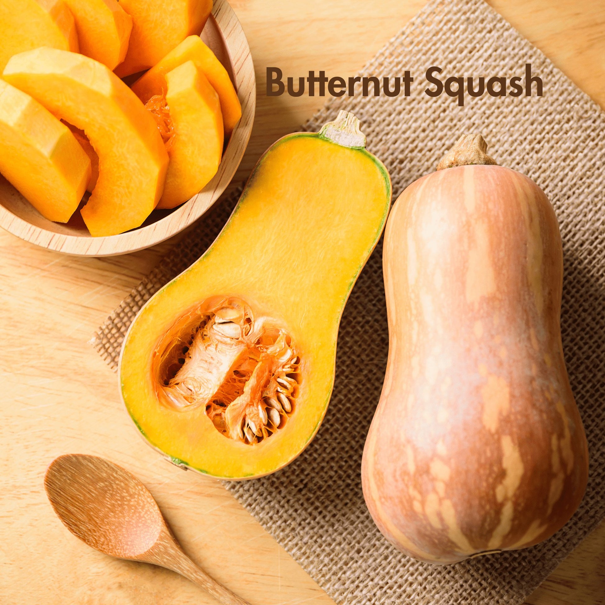 Butternut Squash Seeds (10 Total) - Seeds - Kristine Celestine