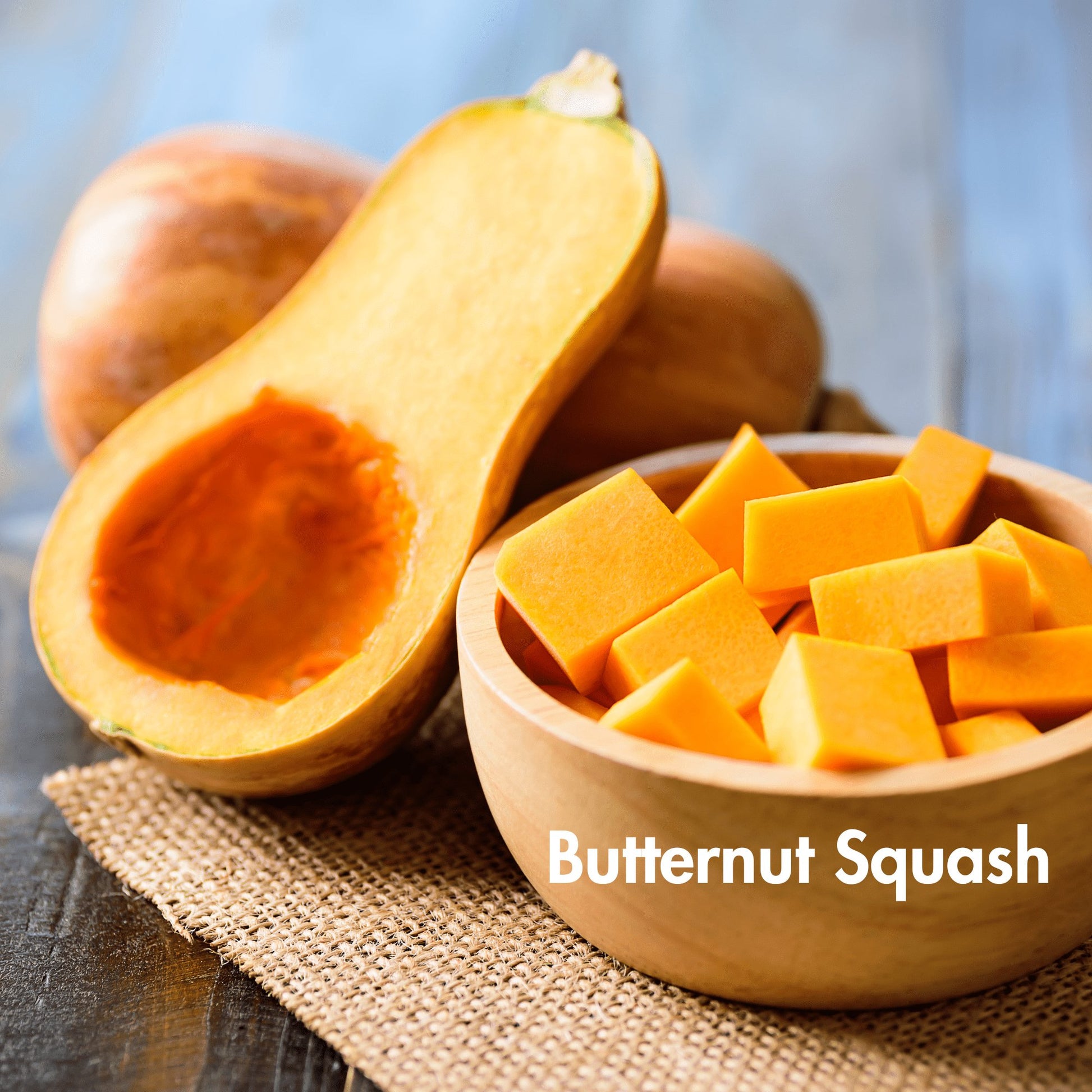 Butternut Squash Seeds (10 Total) - Seeds - Kristine Celestine