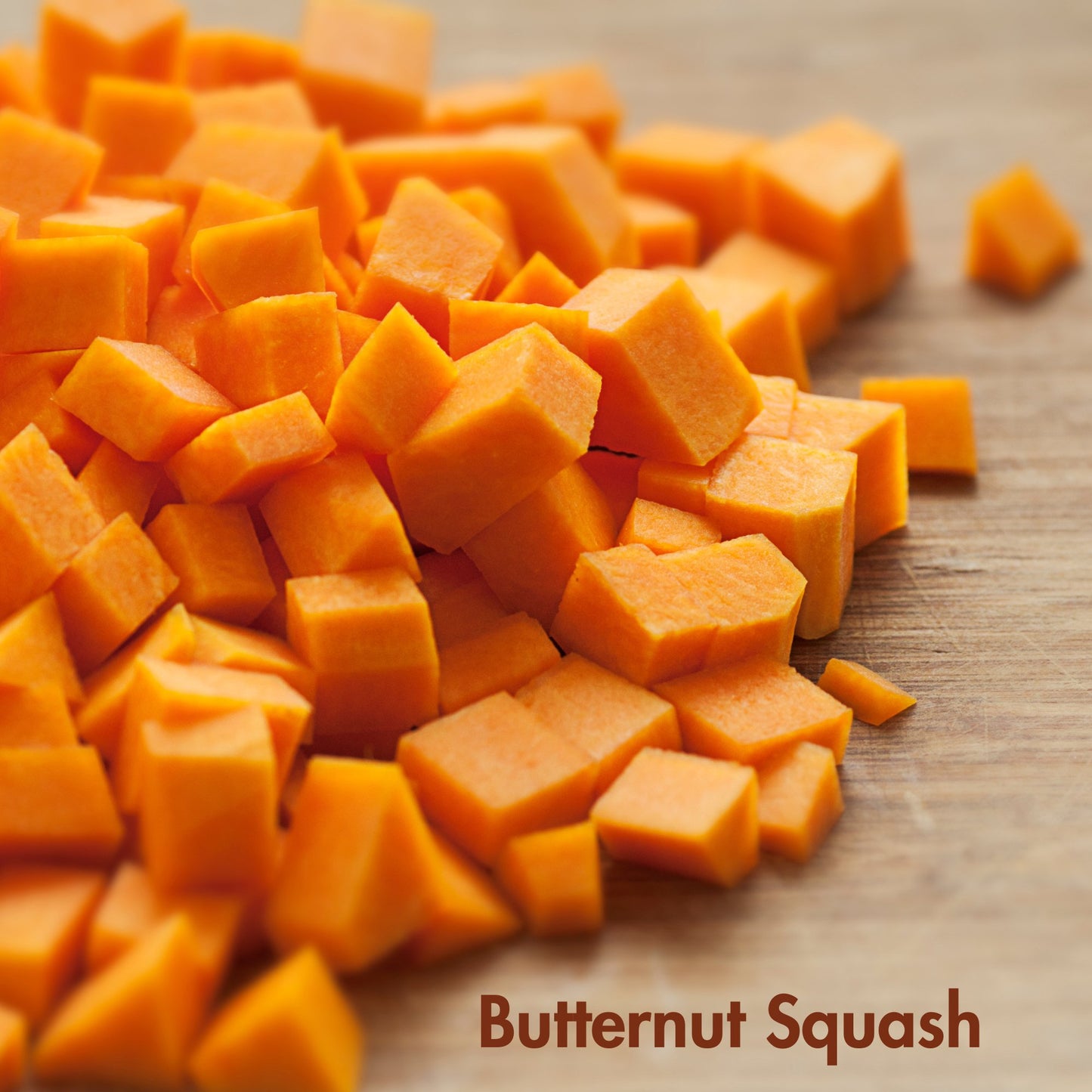 Butternut Squash Seeds (10 Total) - Seeds - Kristine Celestine