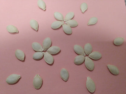 Spaghetti Squash Seeds (10 Total) - Seeds - Kristine Celestine