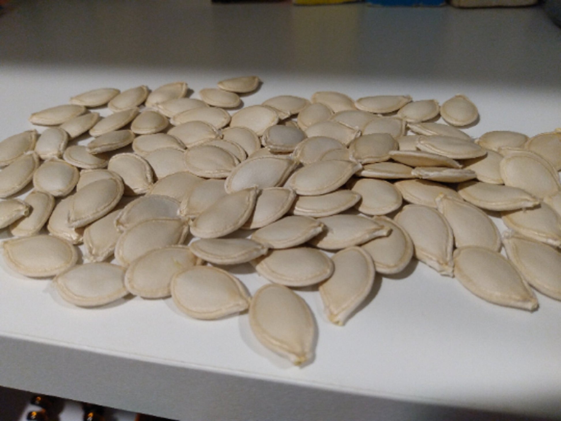 Spaghetti Squash Seeds (10 Total) - Seeds - Kristine Celestine