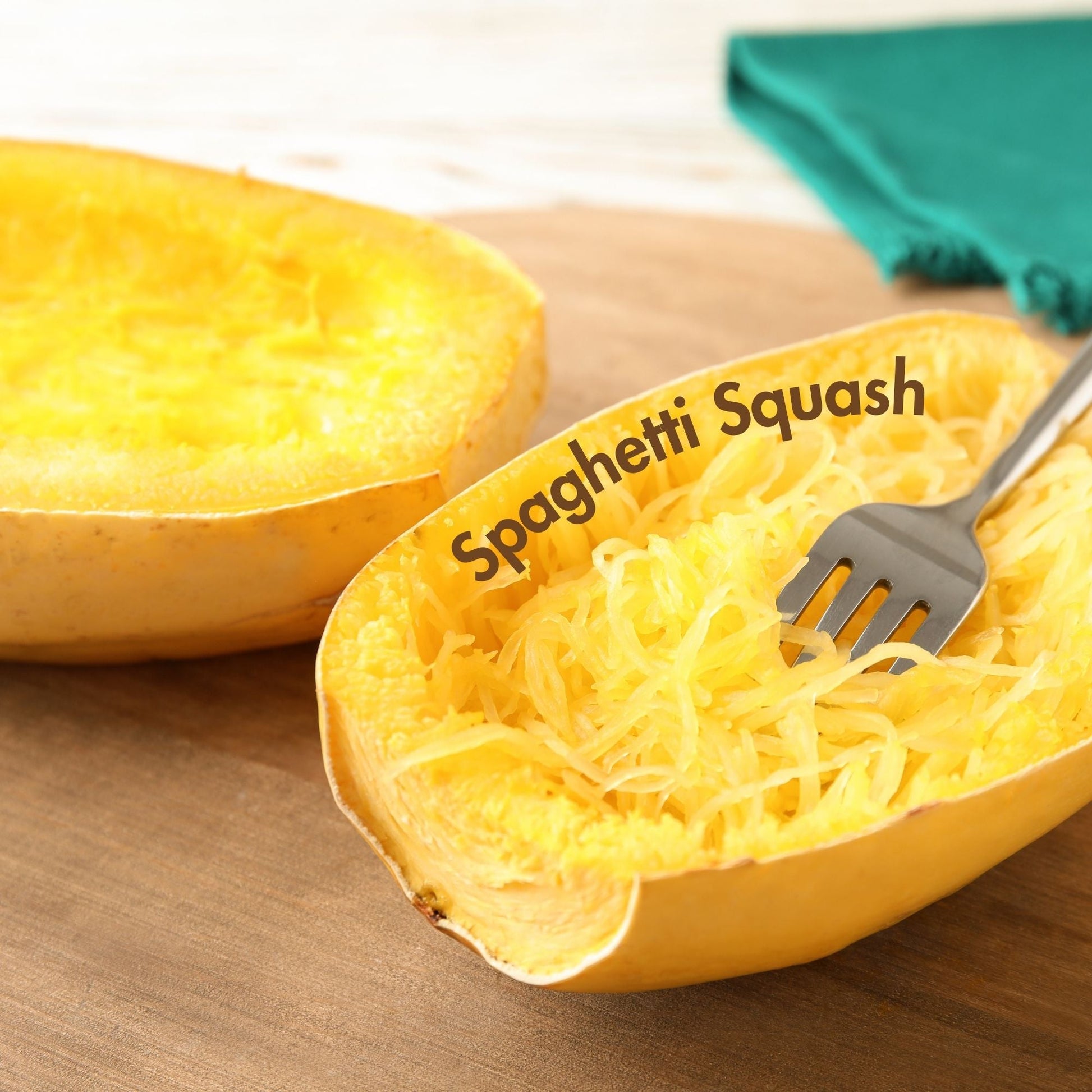 Spaghetti Squash Seeds (10 Total) - Seeds - Kristine Celestine